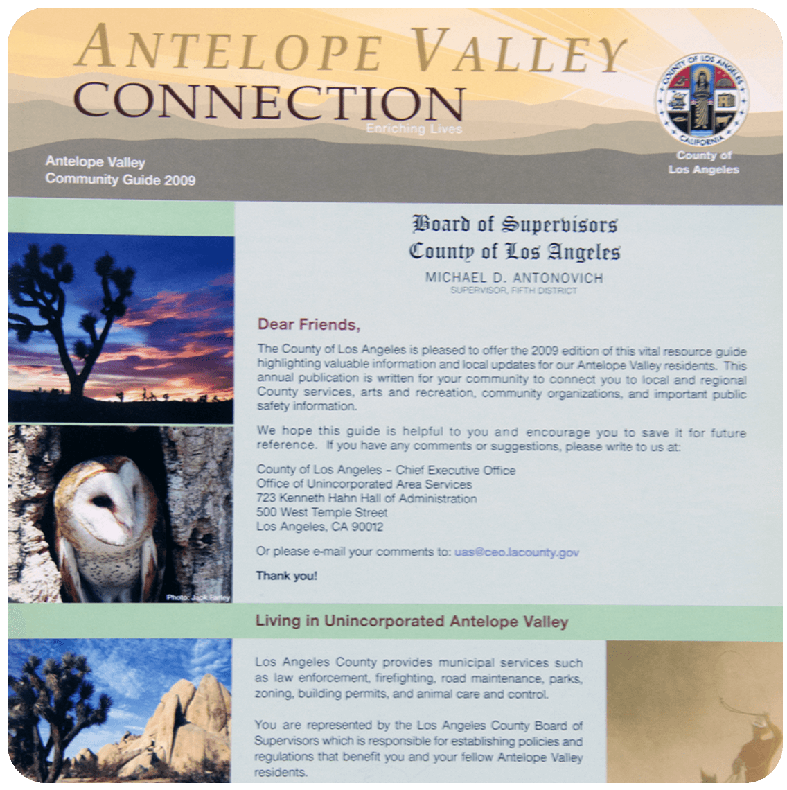 county government information collateral