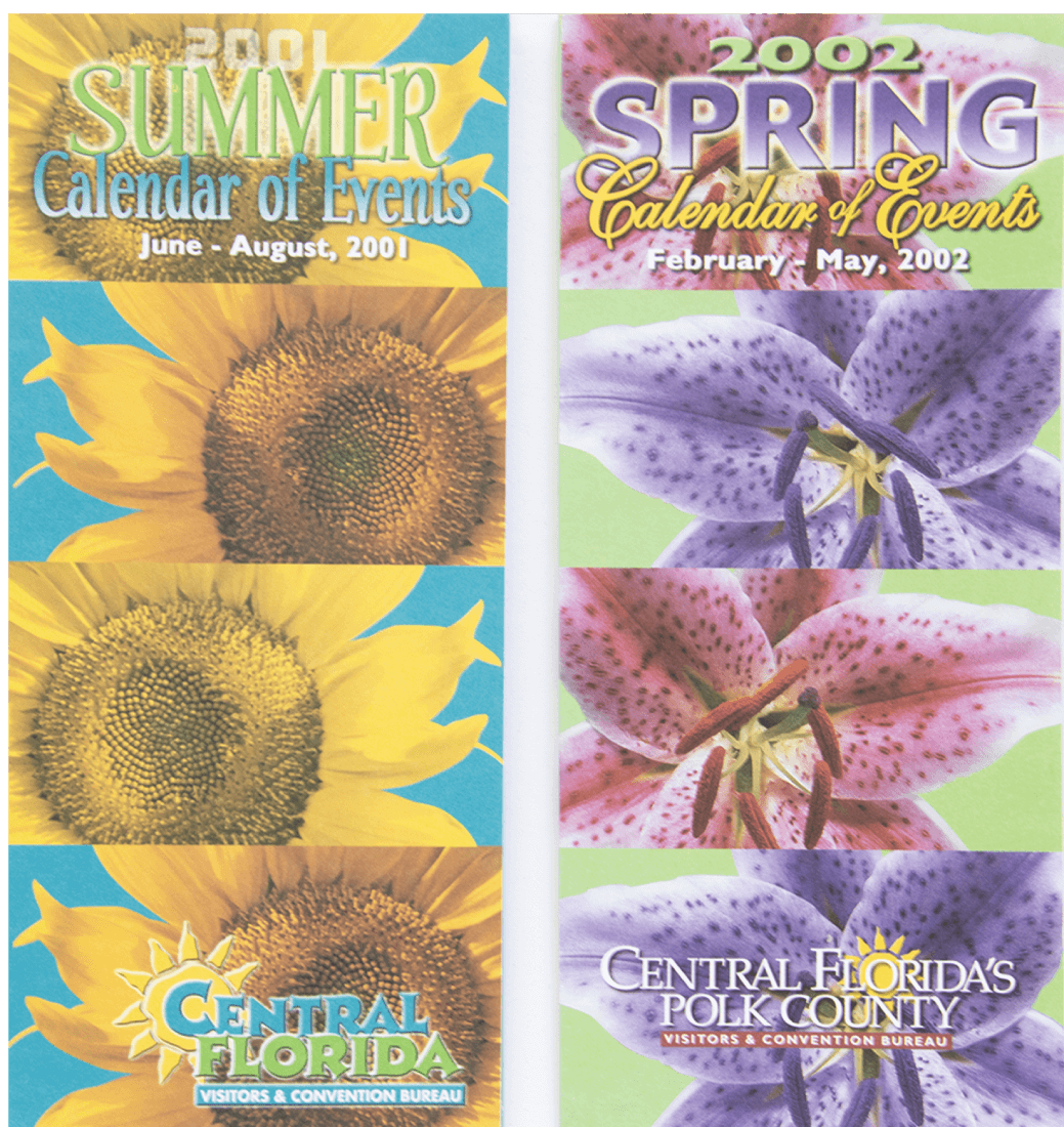 county government information collateral